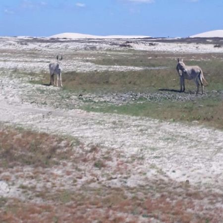 Portadosoljeri Ξενοδοχείο Jijoca de Jericoacoara Εξωτερικό φωτογραφία
