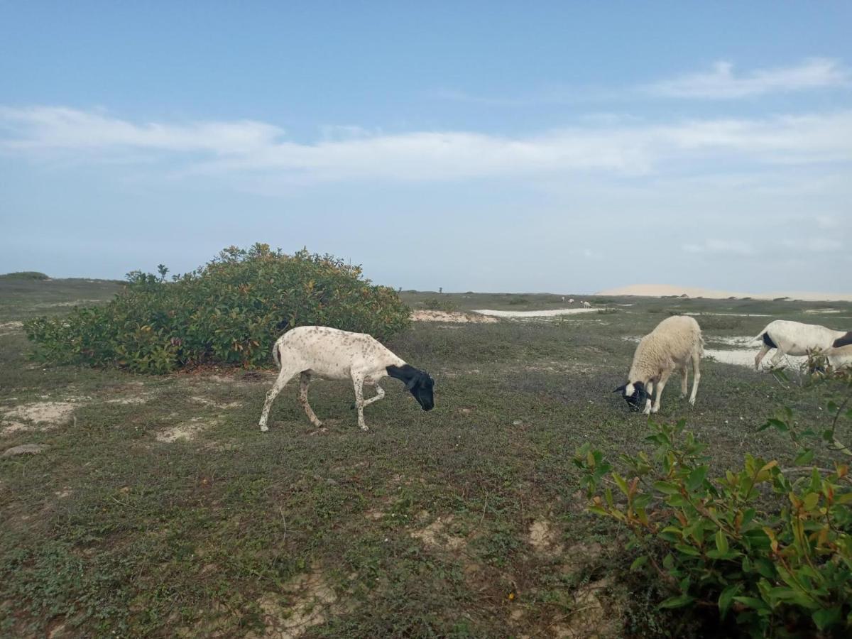 Portadosoljeri Ξενοδοχείο Jijoca de Jericoacoara Εξωτερικό φωτογραφία