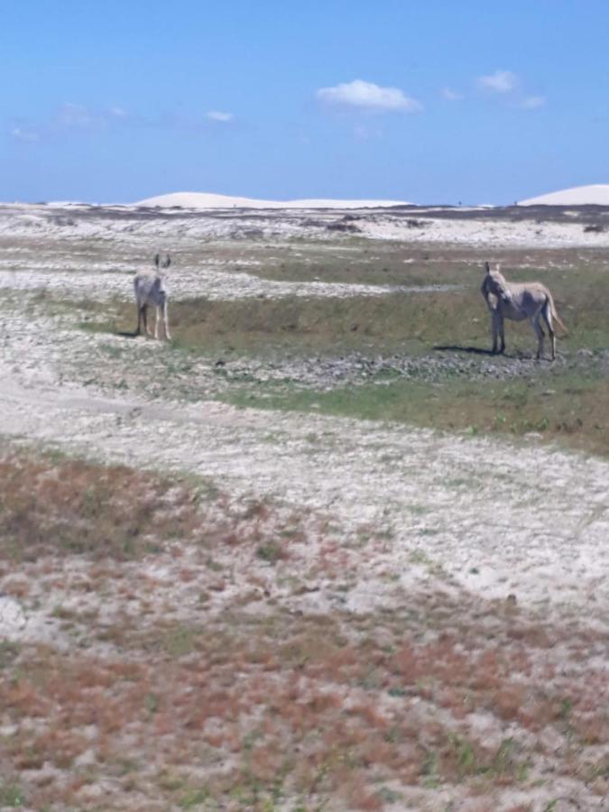 Portadosoljeri Ξενοδοχείο Jijoca de Jericoacoara Εξωτερικό φωτογραφία